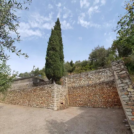 Bodini's Himare