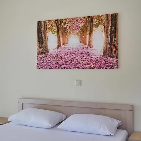 בית הארחה Bodini's 3*