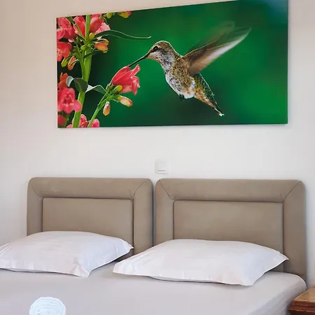 בית הארחה Bodini's 3*