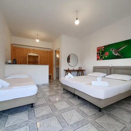 Bodini's * Himare