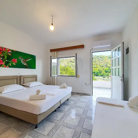 Bodini's הימארה