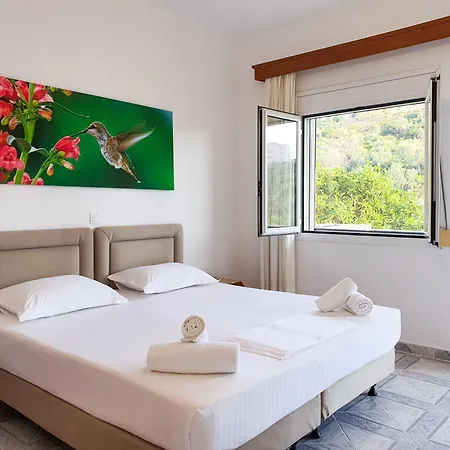 Bodini's 3* הימארה